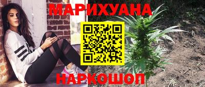 spice Камышлов