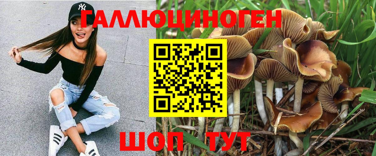 Кстово  Галлюциногенные грибы Psilocybe  Вход с VPN 